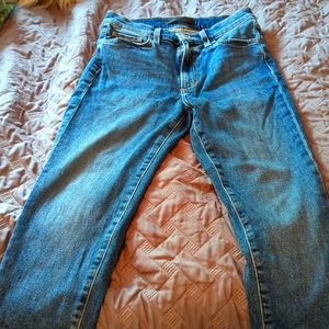 Joe's Highrise skinny ankle size 26